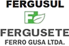 Fergusete